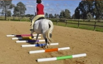 Jump Pole 2.4m - The Trading Stables