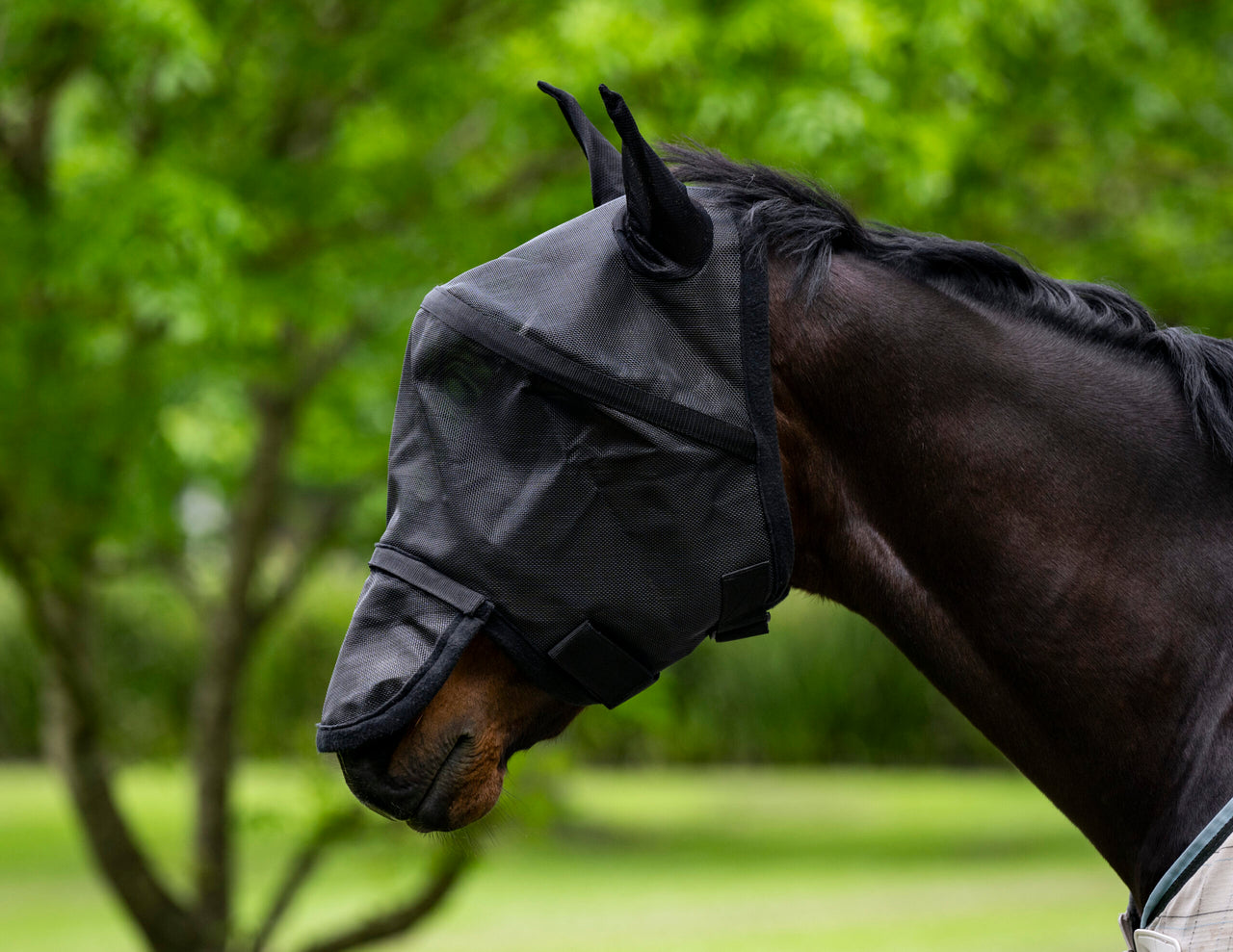 Eureka 3D Flymask - The Trading Stables