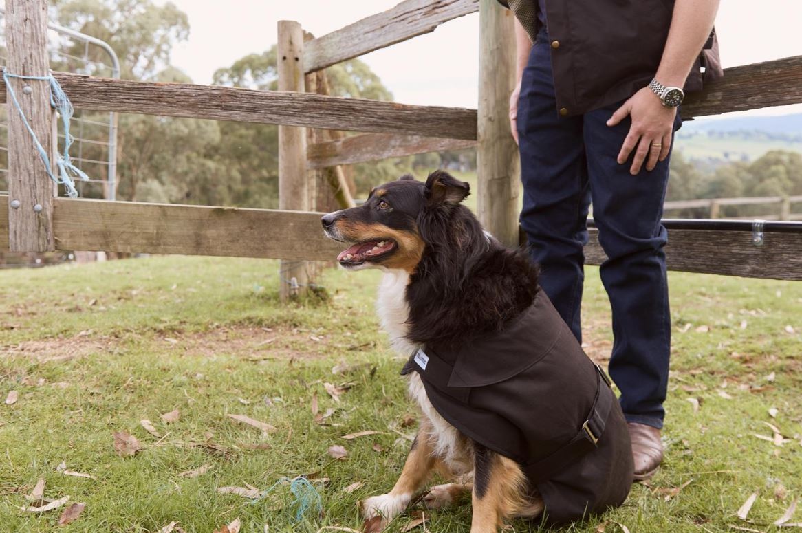 Nullarbor Oilskin Dog Coat with Fur - The Trading Stables