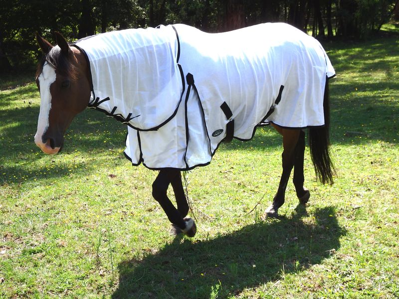 Equihart Mesh Combo - The Trading Stables