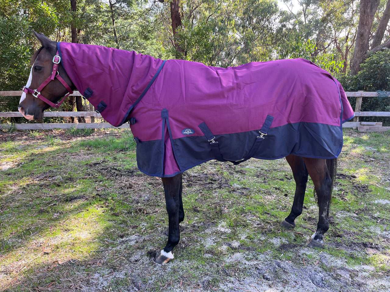 Equihart Maverick 1200D 250G Fill Combo - The Trading Stables