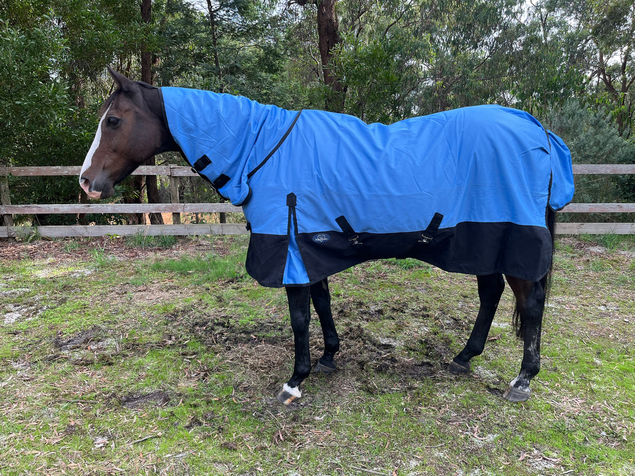 Equihart Cavalier 600D 100G Fill Combo - The Trading Stables