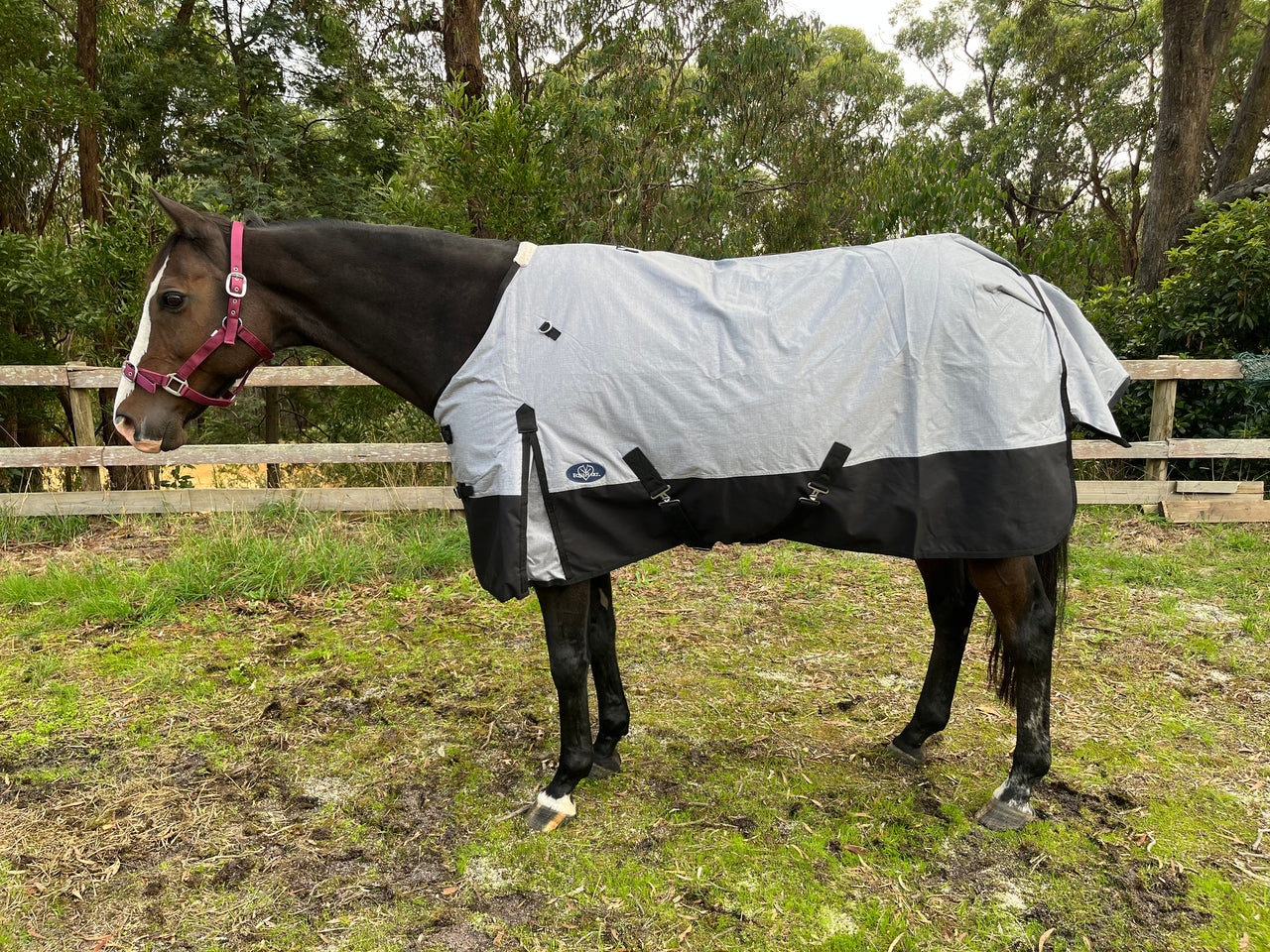 Equihart Cavalier 600D 100G Fill Rug - The Trading Stables