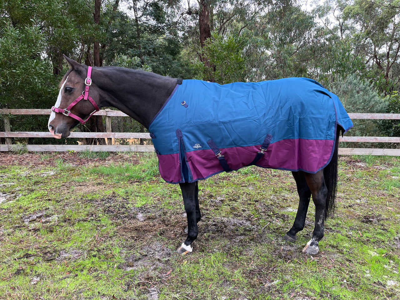 Equihart Maverick 1200D 250G Fill Rug - The Trading Stables