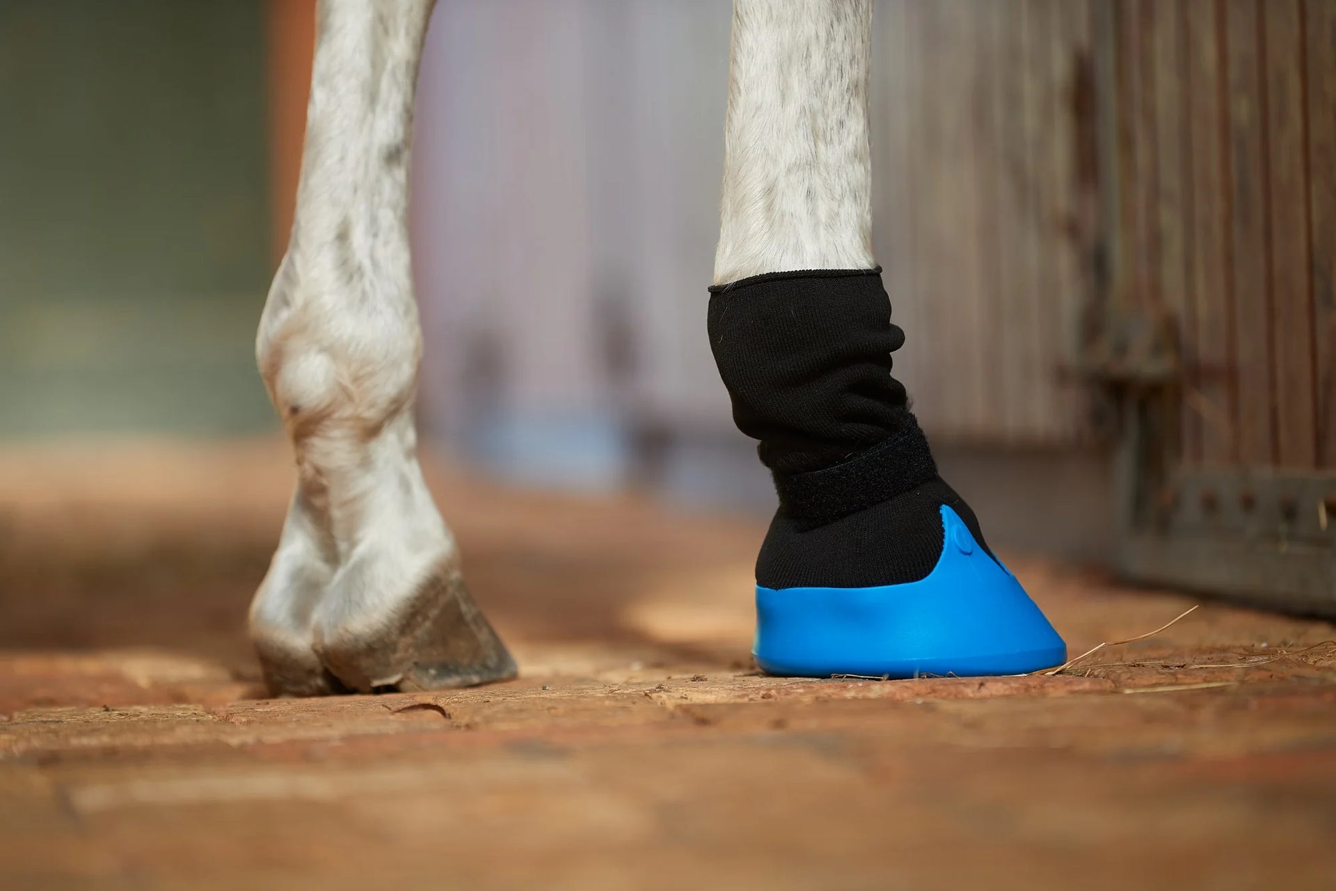 Tubbease Hoof Sock Red 140mm - The Trading Stables