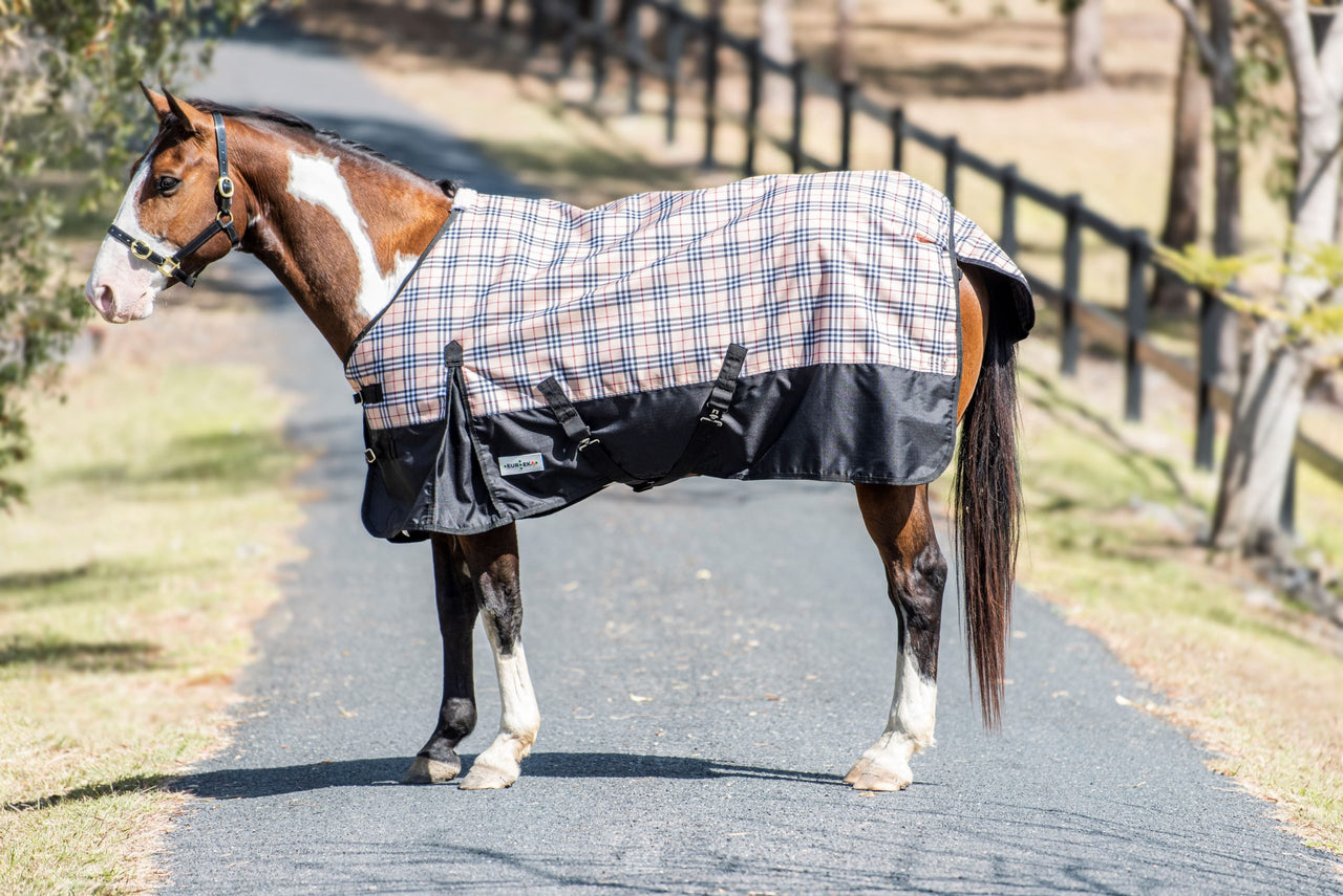 Eureka Bounty Huntar Rug Classic Check