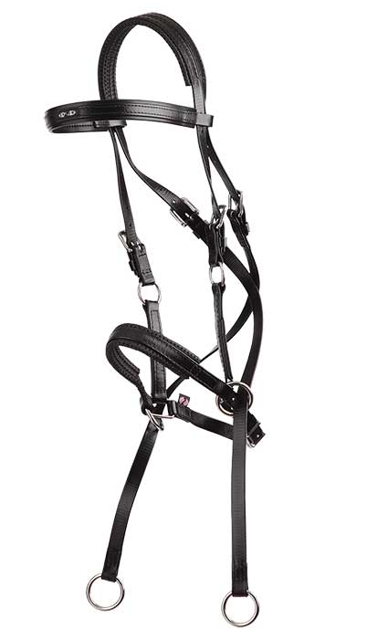 Zilco Bitless Bridle