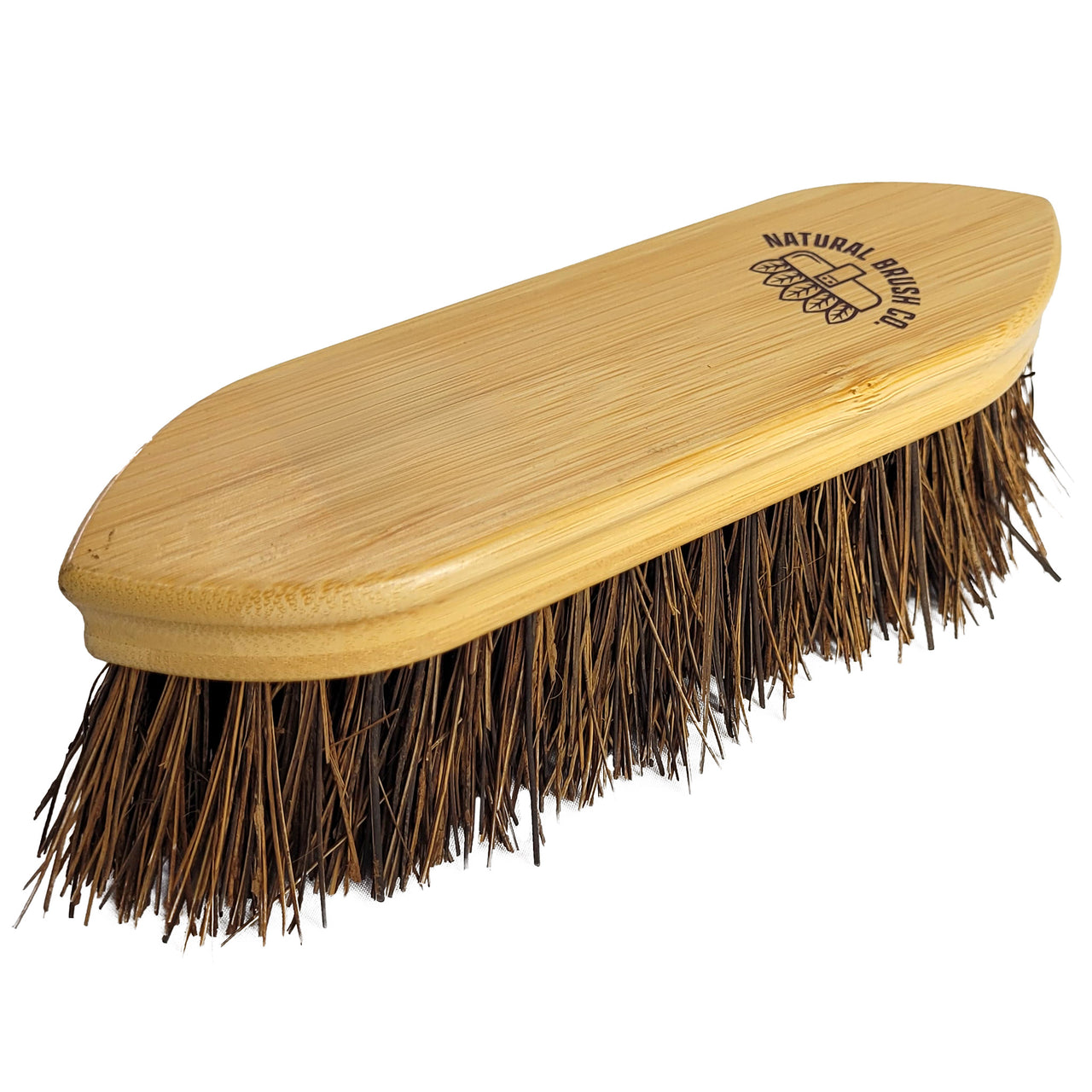 NBC Dandy Brush Indian Palm