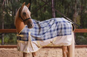 Eureka Bounty Huntar Synthetic Summer Rug Blue Plaid