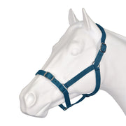 Eureka Buckle Halter - The Trading Stables