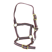 McAlister Foal Halter - The Trading Stables
