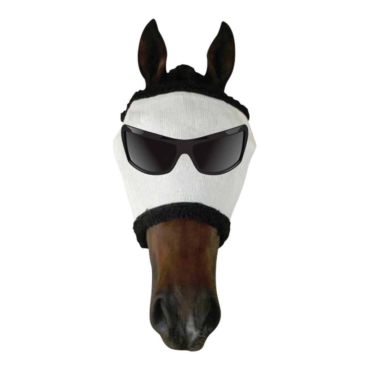 Showcraft Mr Cool Funny Fly Mask - The Trading Stables