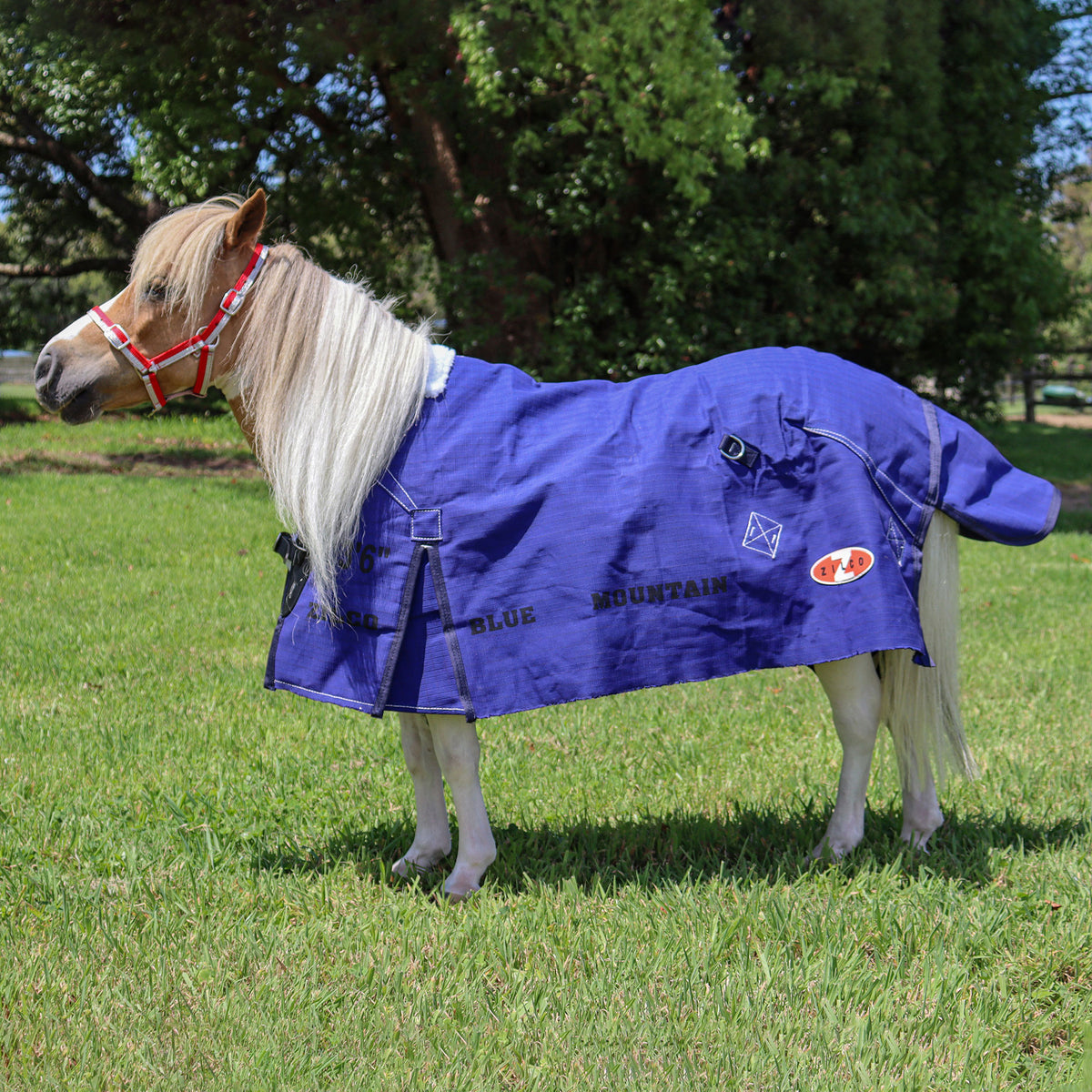 Zilco Rip Protector Rug Zilco Mini Mountain Rug