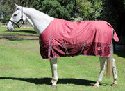 Zilco Explorer 200 Rug - The Trading Stables