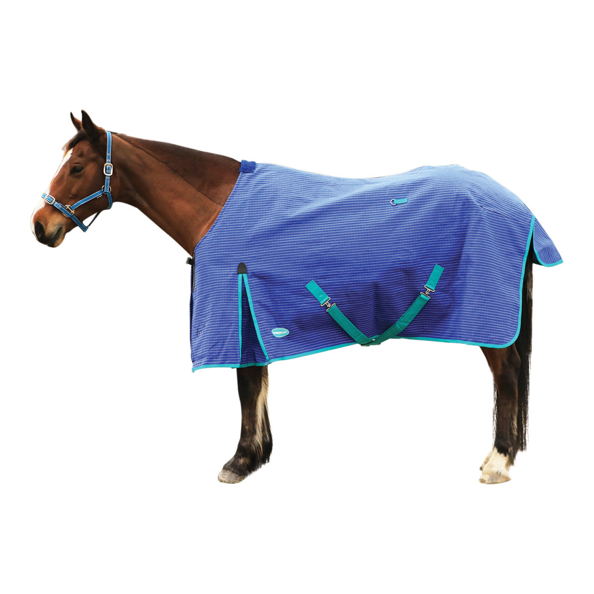 X-Calibur Ripstop Canvas Rug - The Trading Stables
