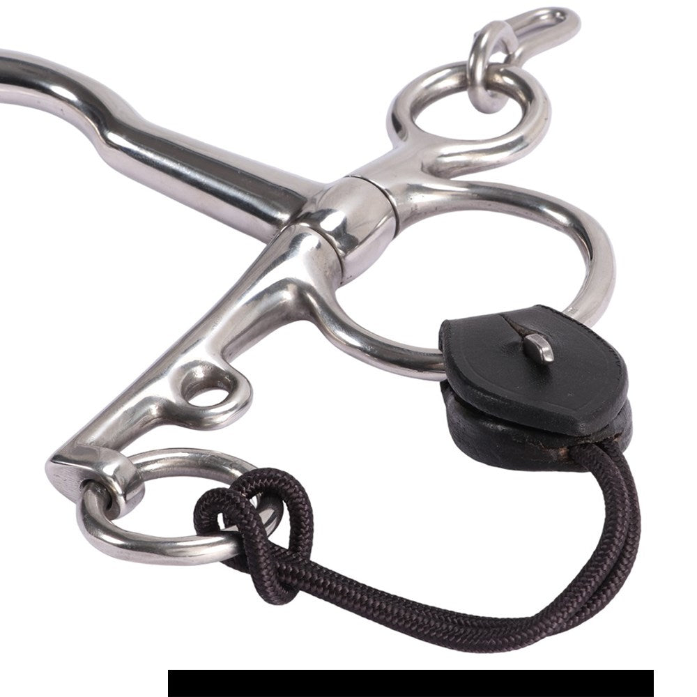 Jeremy & Lord Pelham Roundings