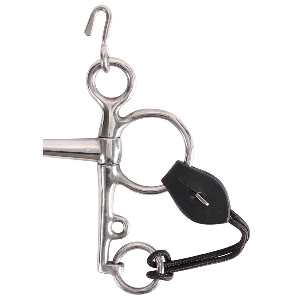 Jeremy & Lord Pelham Roundings