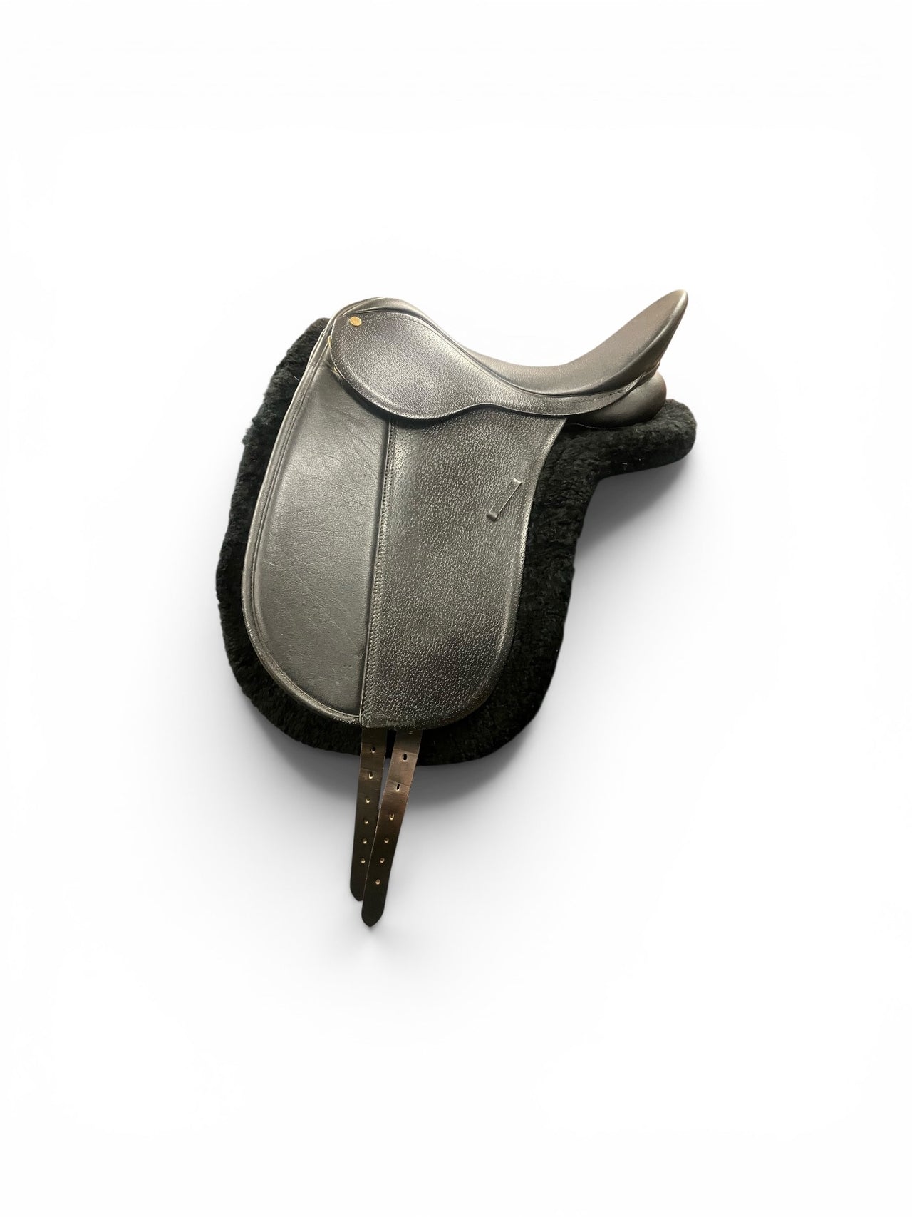 Bates Dressage ( Older Style ) 15 in Second Hand