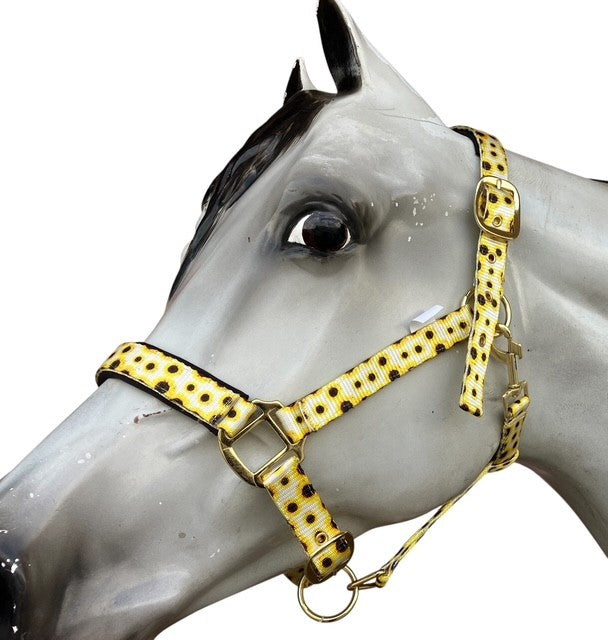 Chetak Sunflower Padded Halter - The Trading Stables