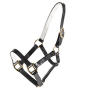 Horse Sense Mini Halter - The Trading Stables