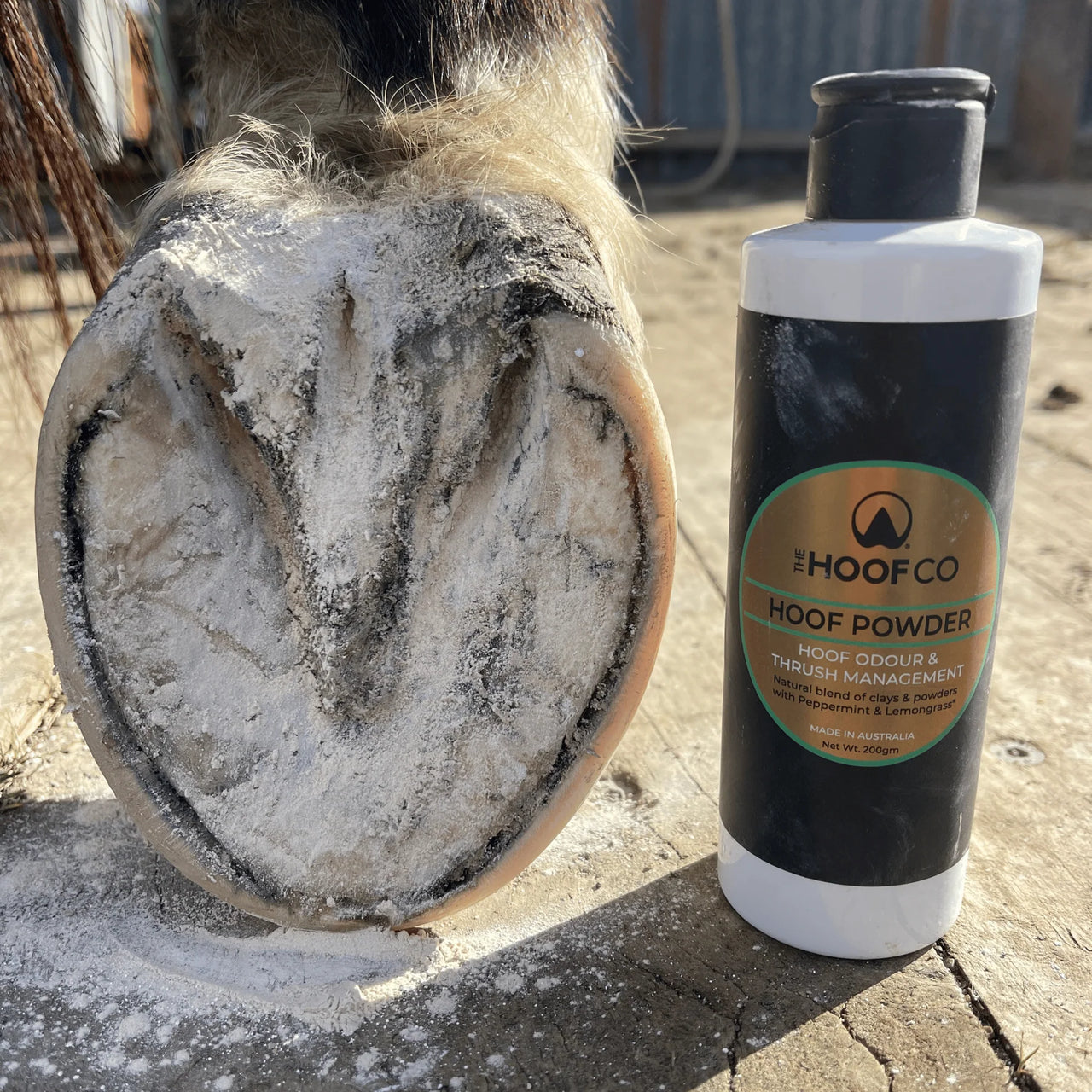 Hoof Powder - Thrush and Odour Management