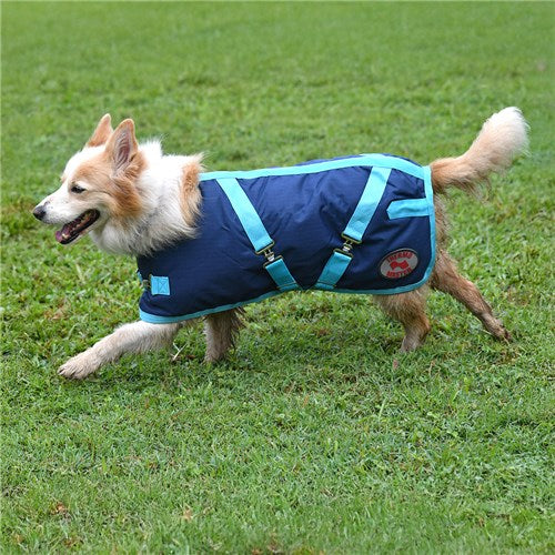 Supreme Dog Coat Navy/Baby Blue - The Trading Stables