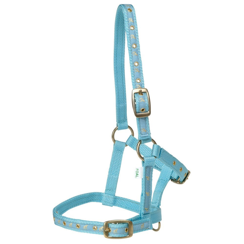 Rancher Deluxe Foal Halter Baby Blue