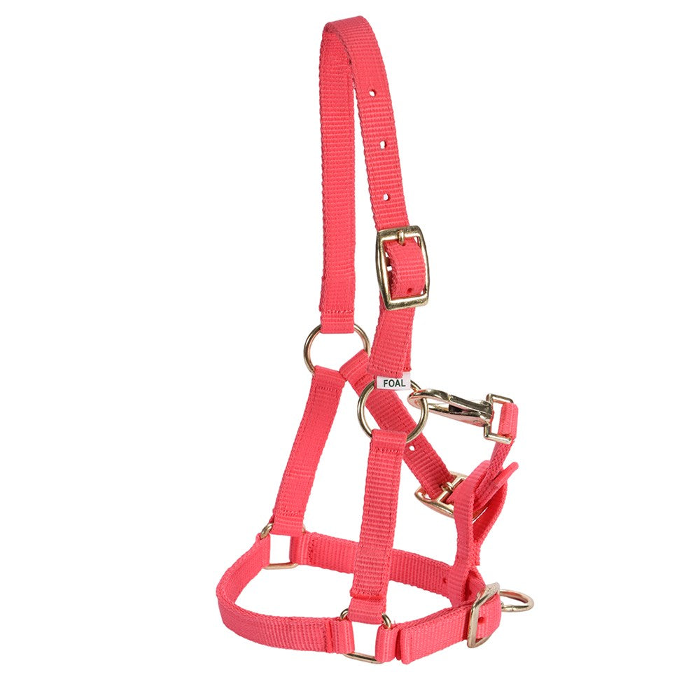 Foal Halter - The Trading Stables