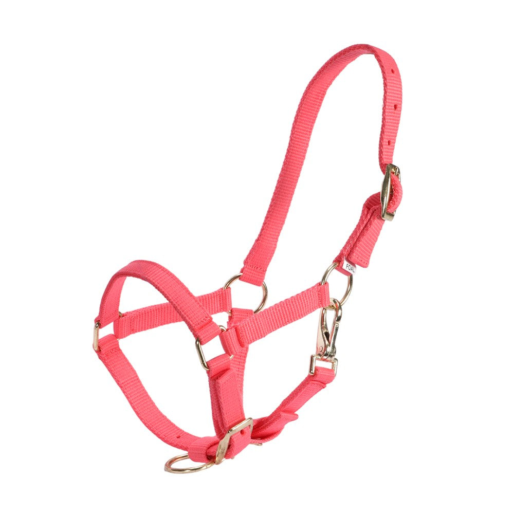 Foal Halter - The Trading Stables