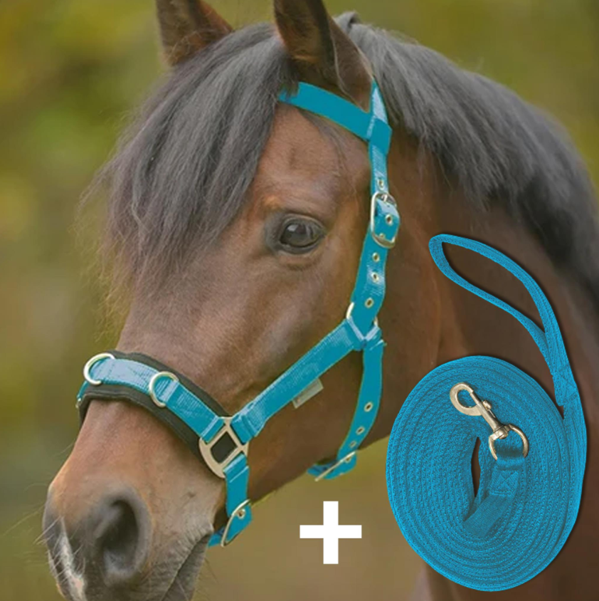 Lunging Cavesson & Rope Set