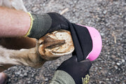 Tubbease Hoof Sock Pink 110mm - The Trading Stables