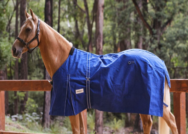 Eureka Unlined Blue Canvas Rug