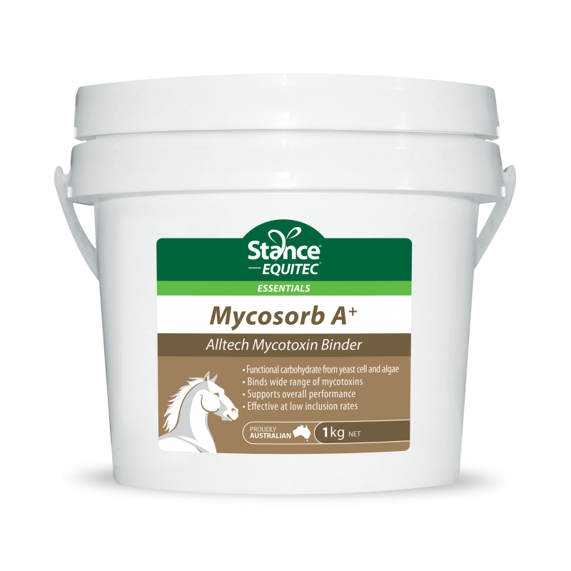 Mycosorb A+ - The Trading Stables
