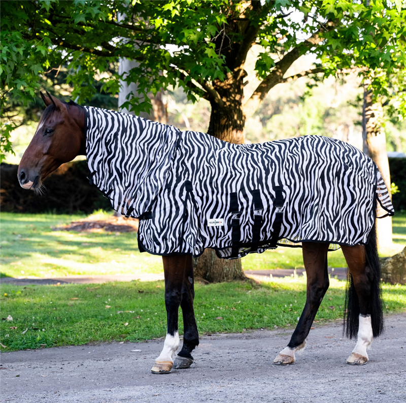 EP Deluxe Zebra Print Combo