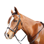 Eureka Chain Caveson Bridle - The Trading Stables