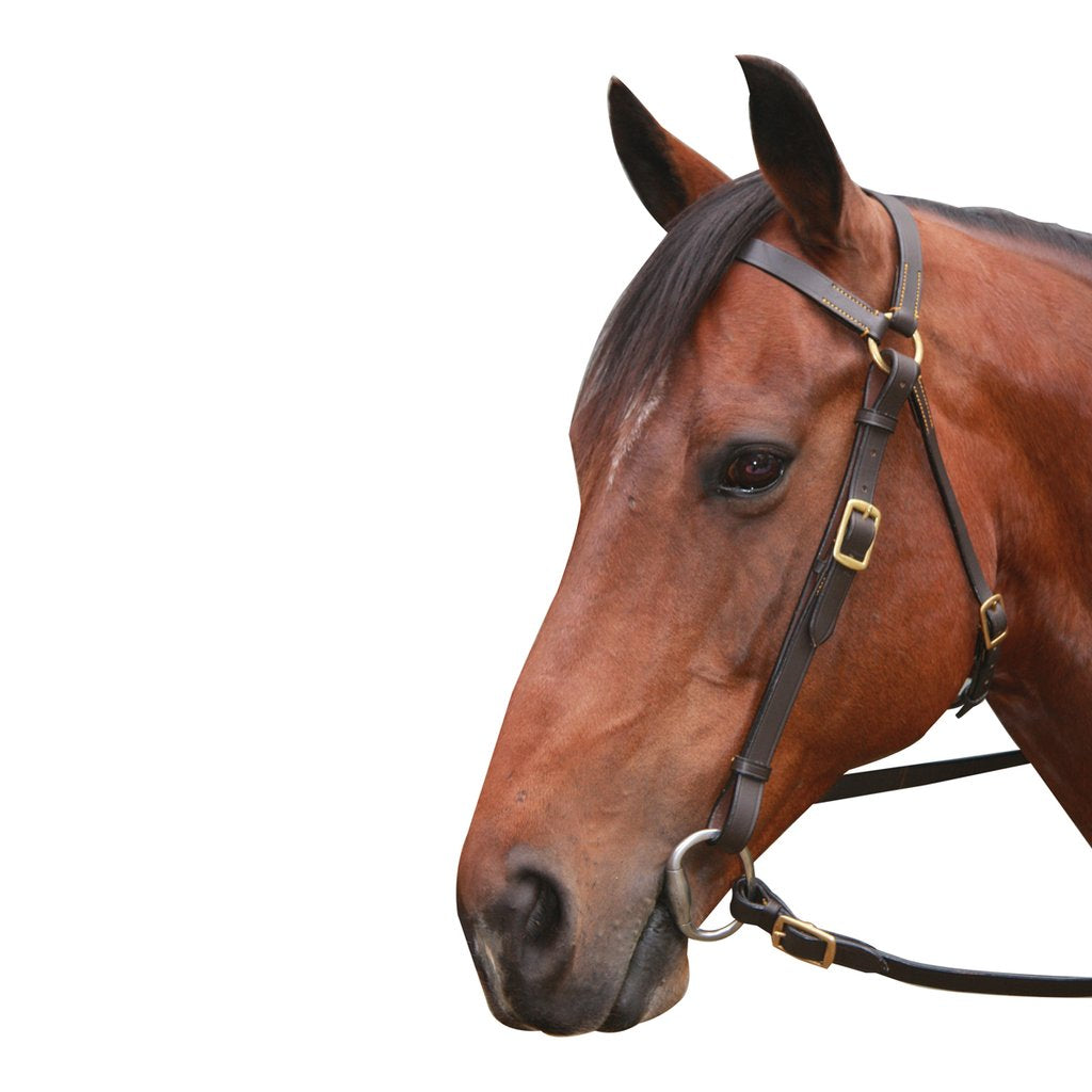 Eureka Brass Barcoo Bridle - The Trading Stables