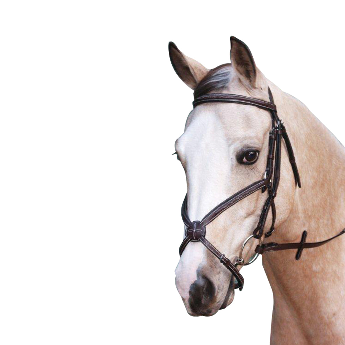 Showcraft Grackle Bridle - The Trading Stables