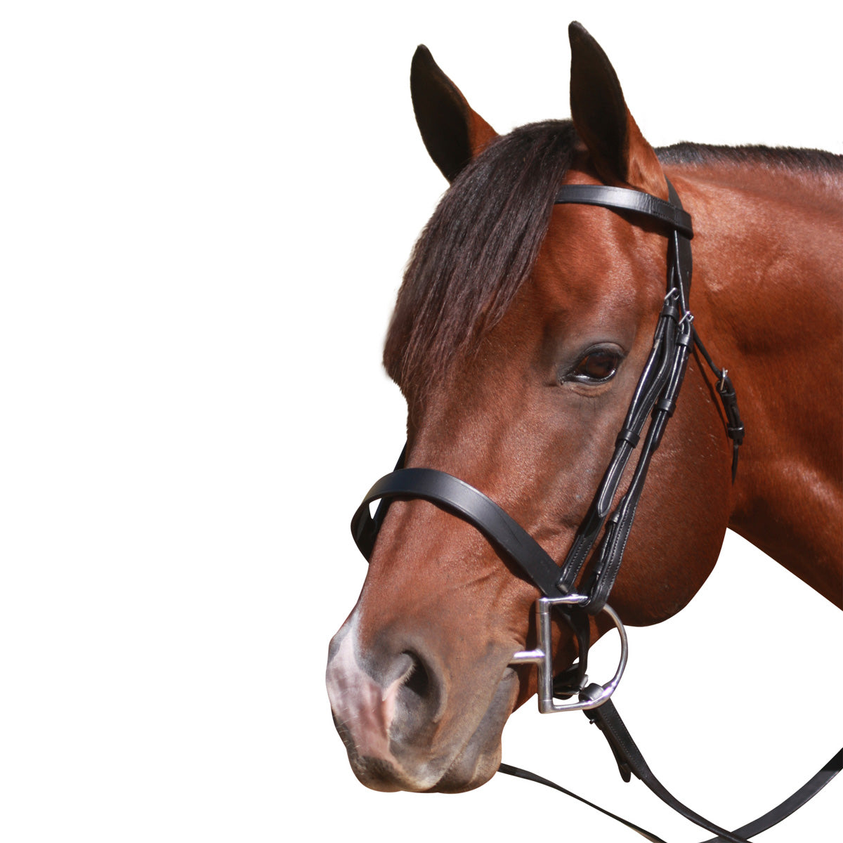 Mcalister Flat Cavesson Bridle Cob Brown - The Trading Stables