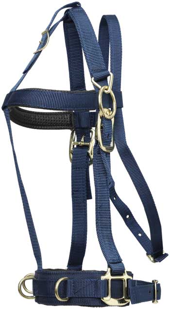 Zilco Deluxe Lunge Halter - The Trading Stables
