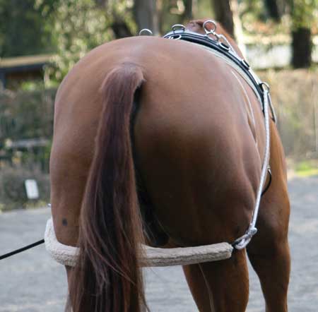 Zilco Lungeing Training System - The Trading Stables