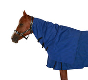 Ascot Canvas Unlined Neck Rug - The Trading Stables