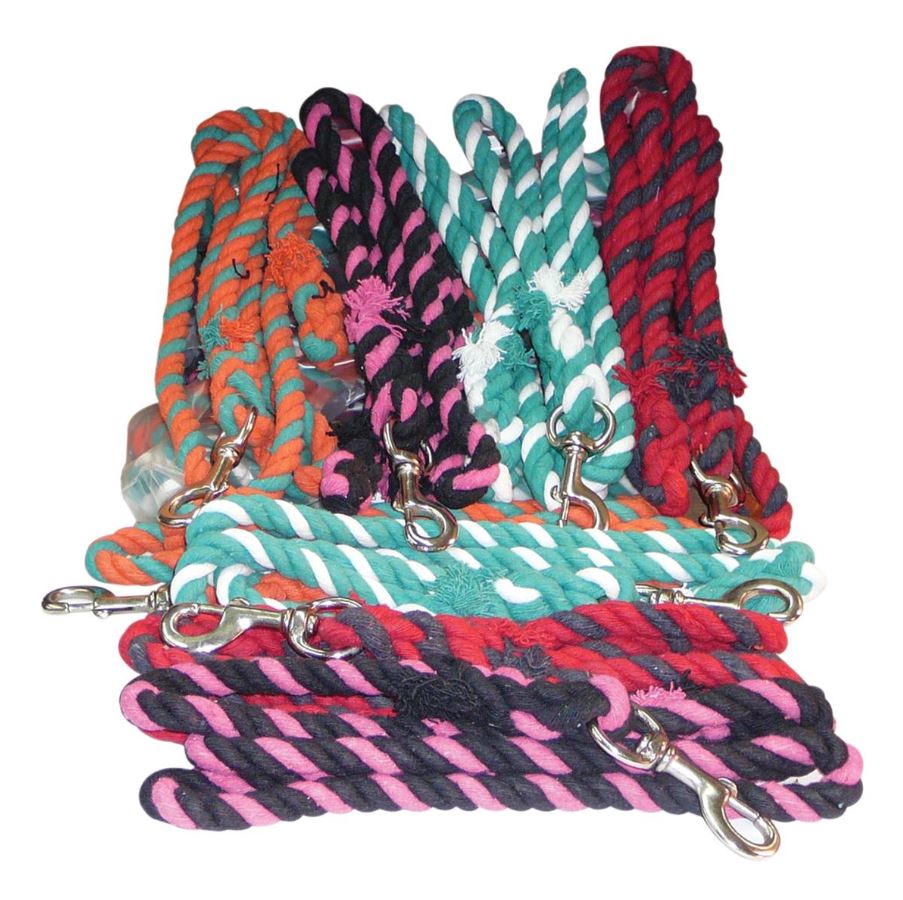 Eureka Two Toned N.P. Snap Lead - The Trading Stables