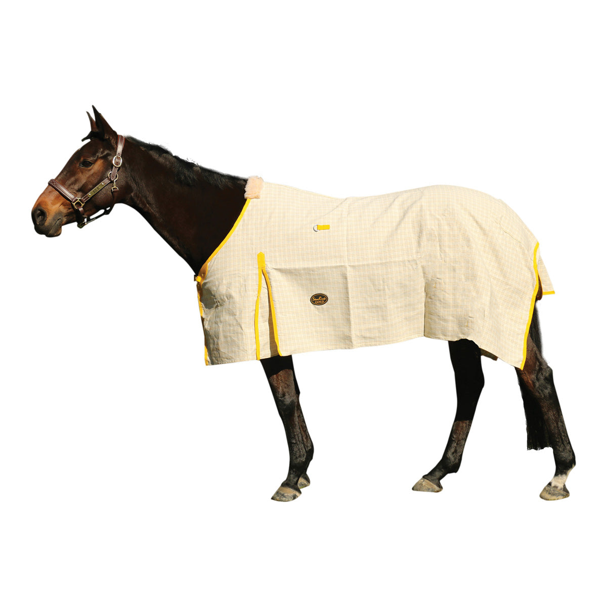 Showcraft Gold Canvas Rug - The Trading Stables