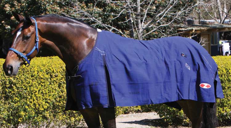 Zilco Rip Protector Rug Zilco Blue Mountain Rug