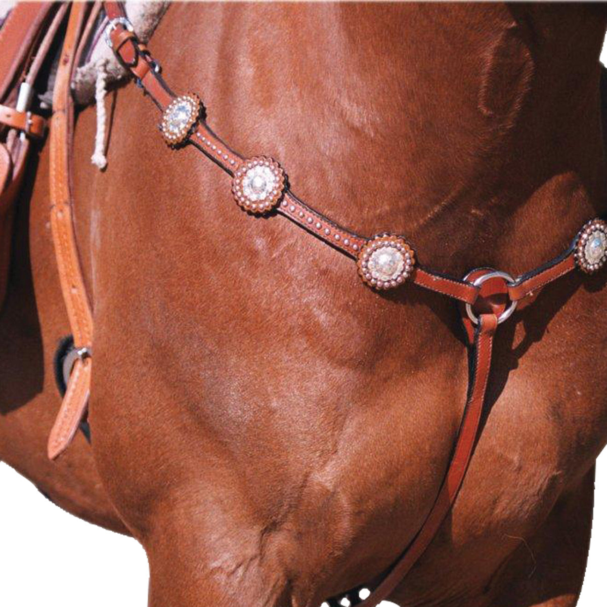 Navaho Silver Stud Breastplate - The Trading Stables