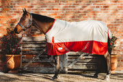 Eureka Summer Synthetic Rug - The Trading Stables