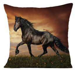 Cavallino Cushion Glistening Black Horse - The Trading Stables