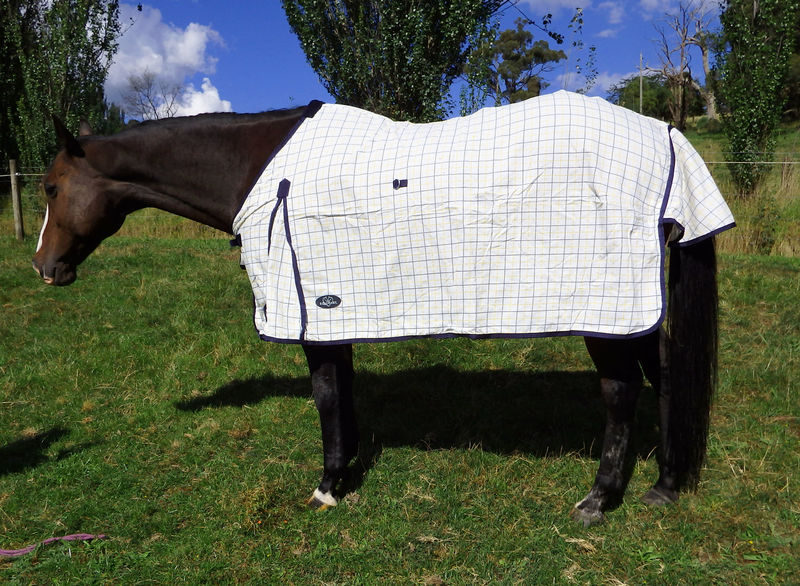 Equihart Budget Cotton Rug - The Trading Stables