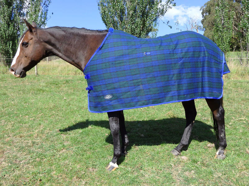 Equihart Woolen Rug - The Trading Stables