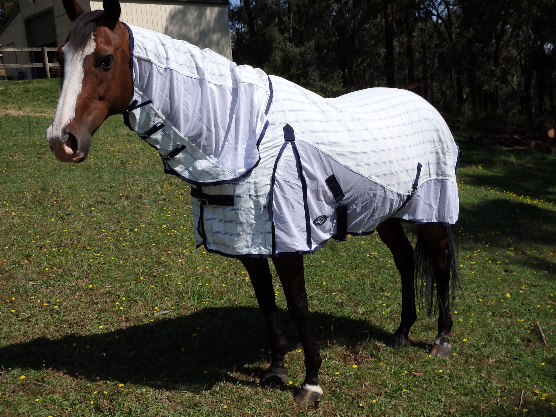 Equihart Dual Mesh Combo - The Trading Stables